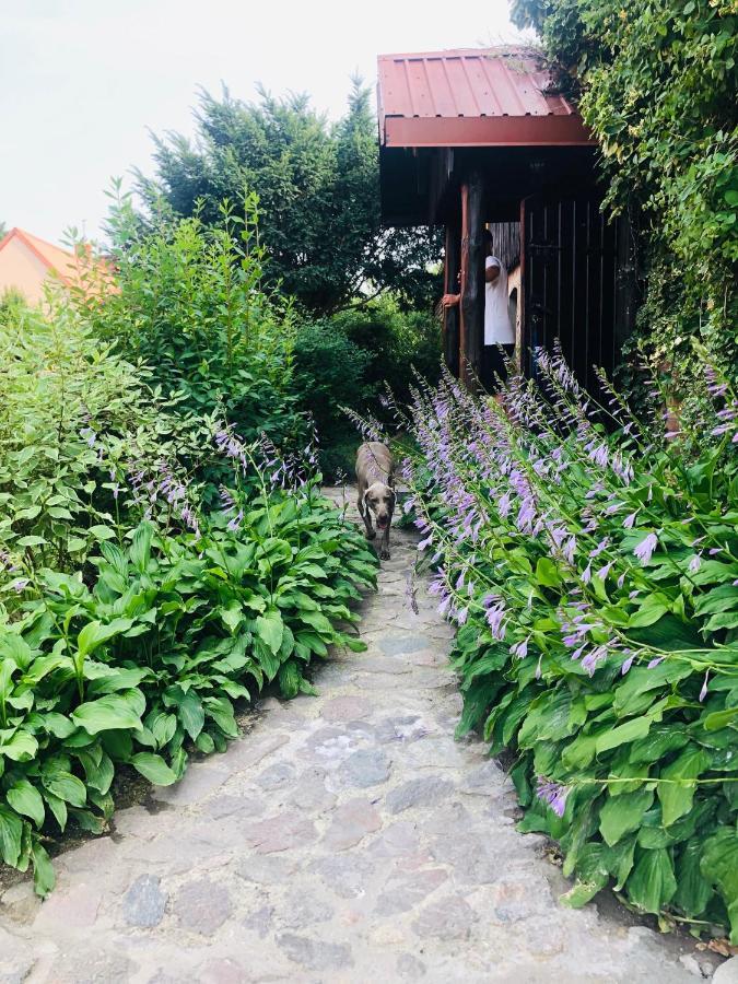 Spokojny Zaulek Ulinia Buitenkant foto